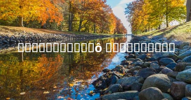 ��ɫ̥��Ԥʾ��ʲô ��ɫ̥�ǵ�Ԣ��